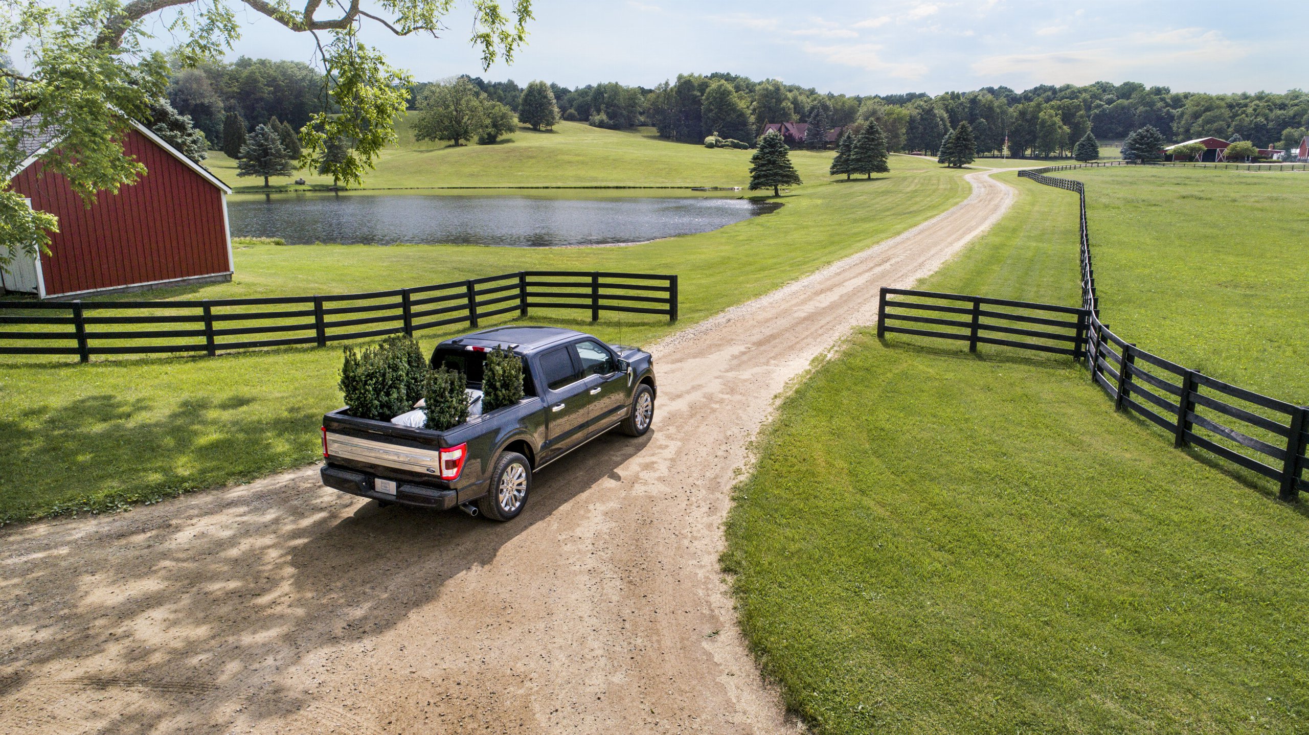 Post Banner for Ford's Survey Dissects Americans' Overwhelming Love for Pickup Trucks