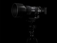 Photo 2of Sigma 60-600mm F4.5-6.3 DG OS HSM | Sport Full-Frame Lens (2018)