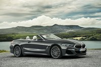 Photo 5of BMW 8 Series G14 Convertible (2019)