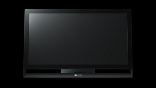 EIZO Foris Nova 22" 4K OLED Monitor (2019)