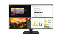 Thumbnail of LG 43BN70U 43" 4K Monitor (2019)