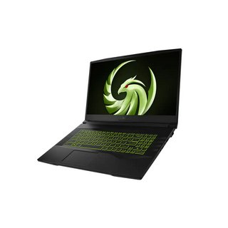 MSI Alpha 17 B5EX AMD Advantage Edition Gaming Laptop (2021)