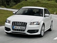 Thumbnail of product Audi S3 (8P1) Hatchback (2006-2008)