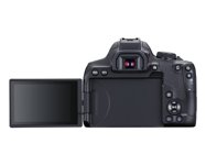 Photo 1of Canon EOS Rebel T8i APS-C DSLR Camera (2020)
