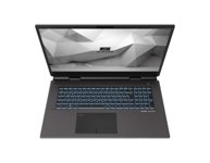 Thumbnail of Schenker DTR 17 Desktop Replacement Laptop (Early 2021)