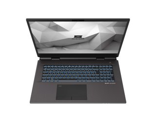 Schenker DTR 17 Desktop Replacement Laptop (Early 2021)