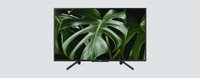 Thumbnail of product Sony WG66 FHD TV (2019)