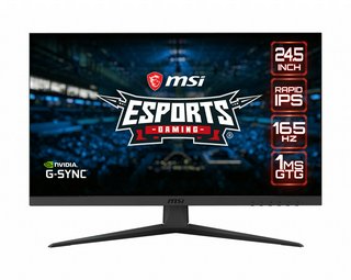 MSI Optix G251F 25" FHD Gaming Monitor (2021)