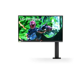 LG 27GN880 UltraGear Ergo 27" QHD Gaming Monitor (2020)