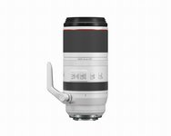 Photo 3of Canon RF 100-500mm F4.5-7.1 L IS USM Full-Frame Lens (2020)