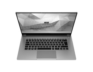 Schenker VISION 15 15.6" Laptop (2021)