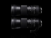 Photo 1of Sigma 150-600mm F5-6.3 DG OS HSM | Contemporary Full-Frame Lens (2014)