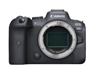 Canon EOS R6 Full-Frame Mirrorless Camera (2020)