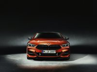 Photo 9of BMW 8 Series Coupe (G15)