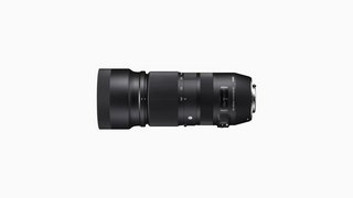 Sigma 100-400mm F5-6.3 DG OS HSM | Contemporary Full-Frame Lens (2017)