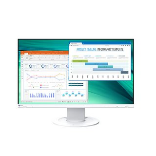 EIZO FlexScan EV2460 24" FHD Monitor (2019)