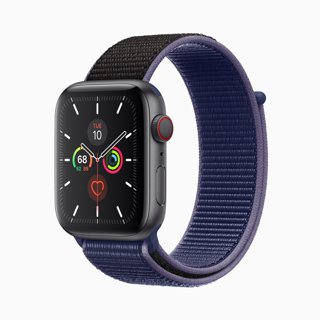 Apple Watch Series 5 Smartwatch (2019)