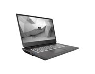 Photo 1of Schenker DTR 17 Desktop Replacement Laptop (2020)