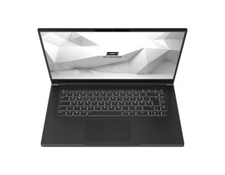 Schenker VIA 15 Pro 15.6" Laptop (2020)