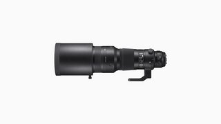 Sigma 500mm F4 DG OS HSM | Sport Full-Frame Lens (2016)