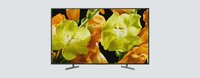 Thumbnail of product Sony Bravia XG81 4K TV (2019)