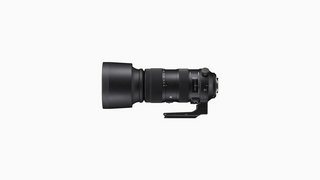 Sigma 60-600mm F4.5-6.3 DG OS HSM | Sport Full-Frame Lens (2018)