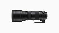 Sigma 150-600mm F5-6.3 DG OS HSM | Sport Full-Frame Lens (2014)