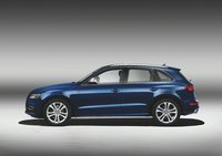 Photo 3of Audi SQ5 (8R) Crossover (2013-2017)