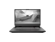 Thumbnail of Schenker DTR 17 Desktop Replacement Laptop (2020)