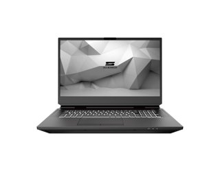 Schenker DTR 17 Desktop Replacement Laptop (2020)