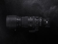 Photo 3of SIGMA 150-600mm F5-6.3 DG DN OS | Sports Full-Frame Lens (2021)