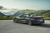 Photo 6of BMW 8 Series G14 Convertible (2019)