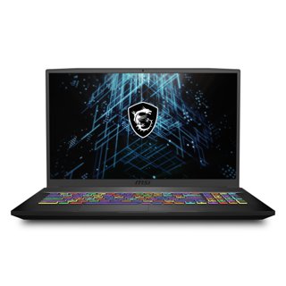 MSI GF75 Thin 10UX 17" Gaming Laptop (2021)