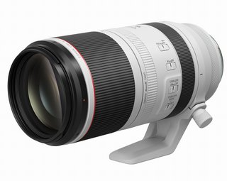 Canon RF 100-500mm F4.5-7.1 L IS USM Full-Frame Lens (2020)