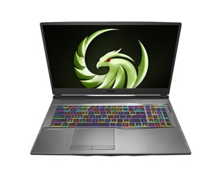 MSI Alpha 17 Gaming Laptop (AMD Ryzen 4000)